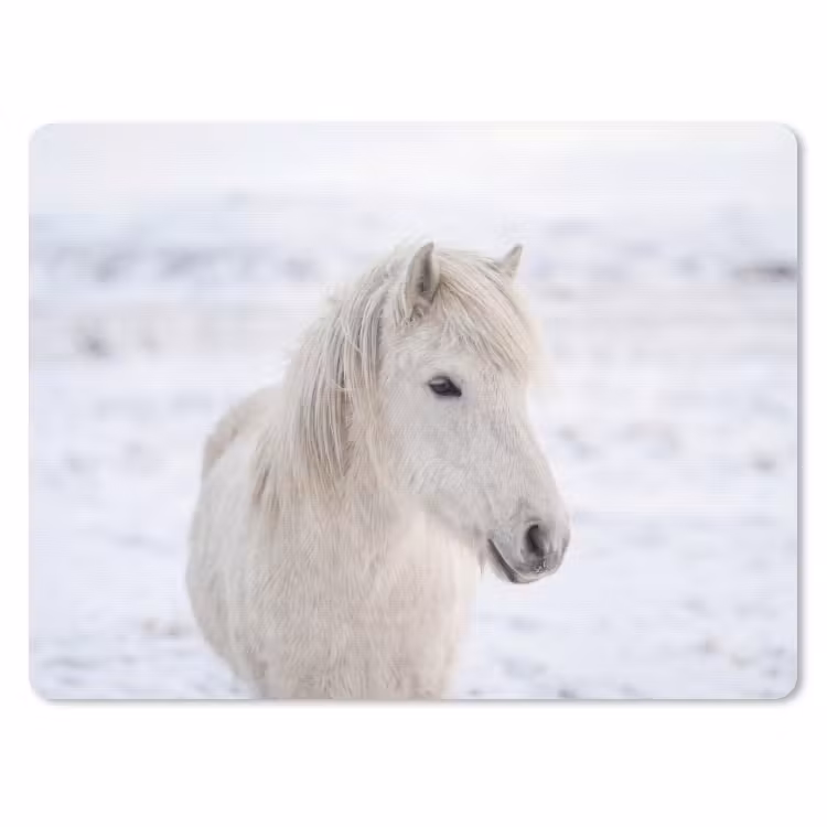 Paard - Kop - Winter - Dieren - Wit muismat rubber klein -3d