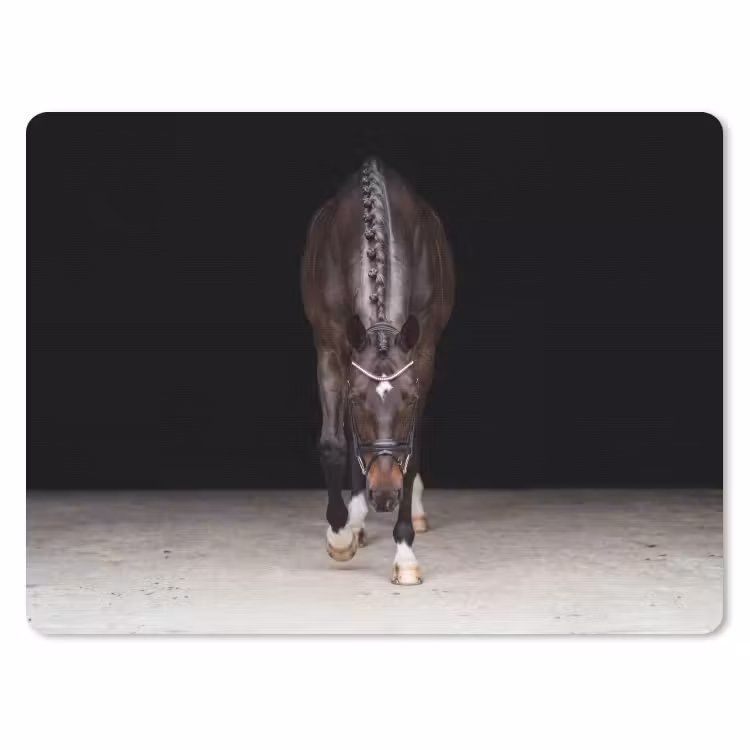 Paard - Modern - Portret muismat rubber klein -3d