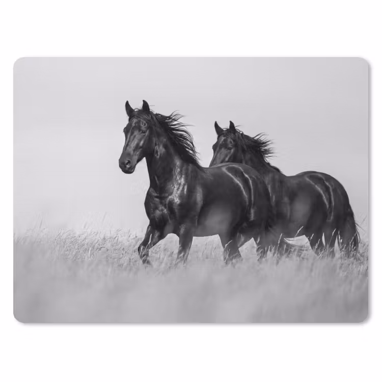 Paarden - Gras - Zwart - Wit muismat rubber klein -3d