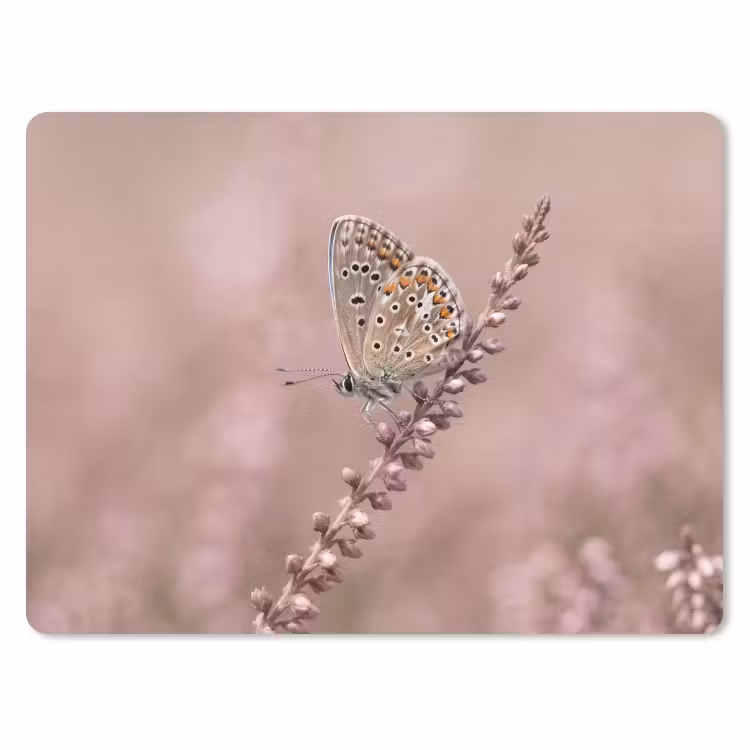 Lavendel - Vlinder - Paars muismat rubber klein -3d
