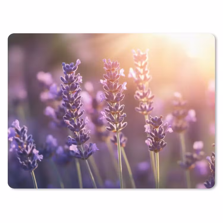 Lavendelbloemen - Paars - Zonlicht muismat rubber klein -3d