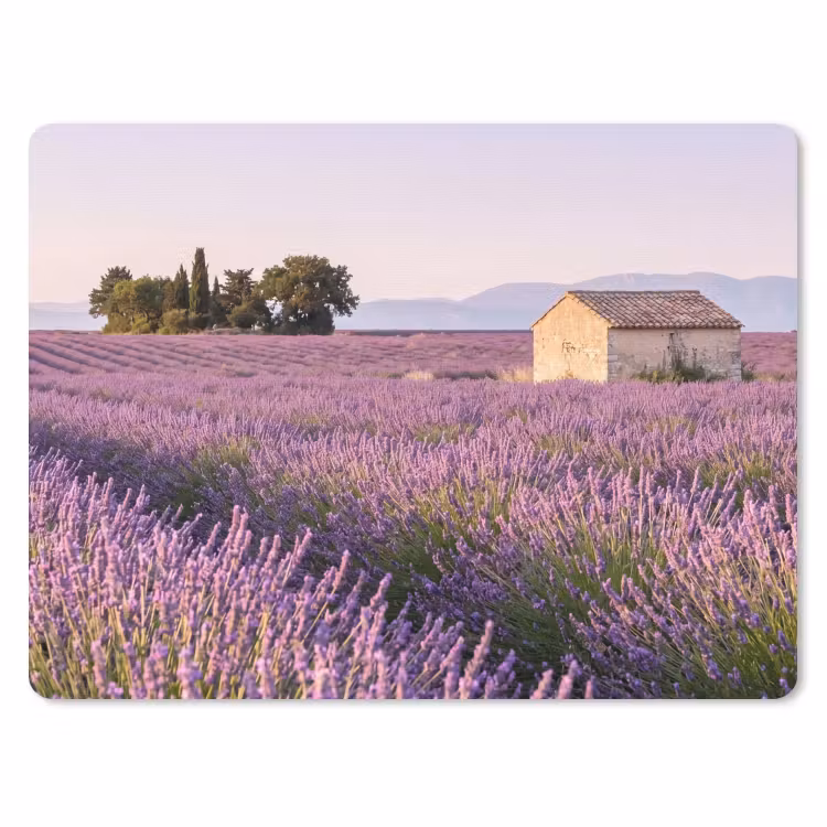 Lavendel - Landschap - Sereen - Paars muismat rubber klein -3d