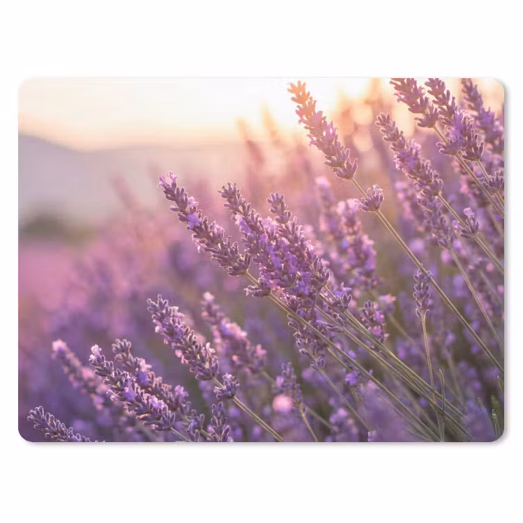 Lavendel - Paars - Zonlicht muismat rubber klein -3d