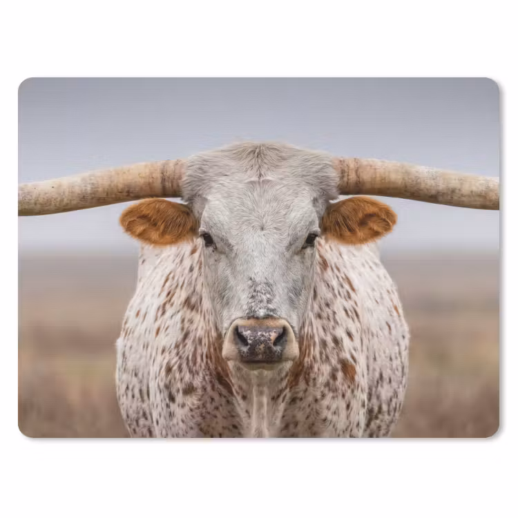 Longhorn - Grasveld - Dier muismat rubber klein -3d