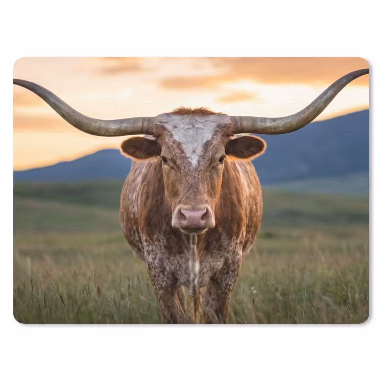 Longhorn - Landschap - Zonsondergang muismat rubber klein -3d