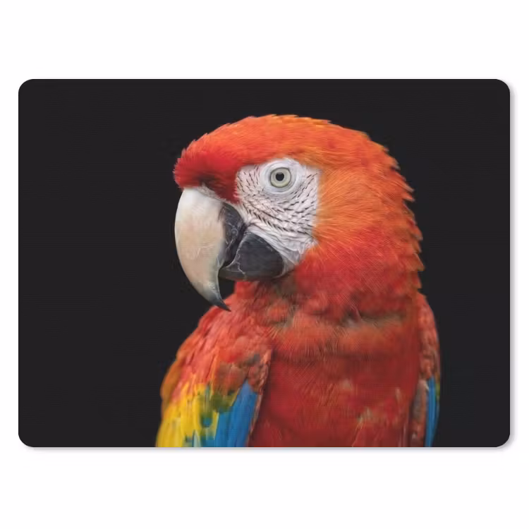 Ara - Portret - Rood muismat rubber klein -3d