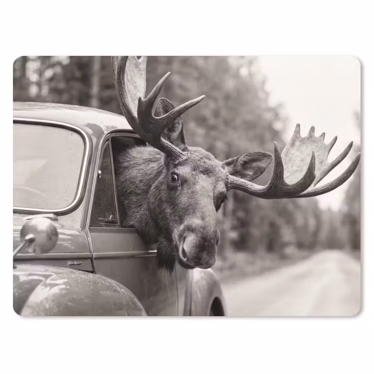 Eland - Auto - Gewei - Zwart - Wit muismat rubber klein -3d