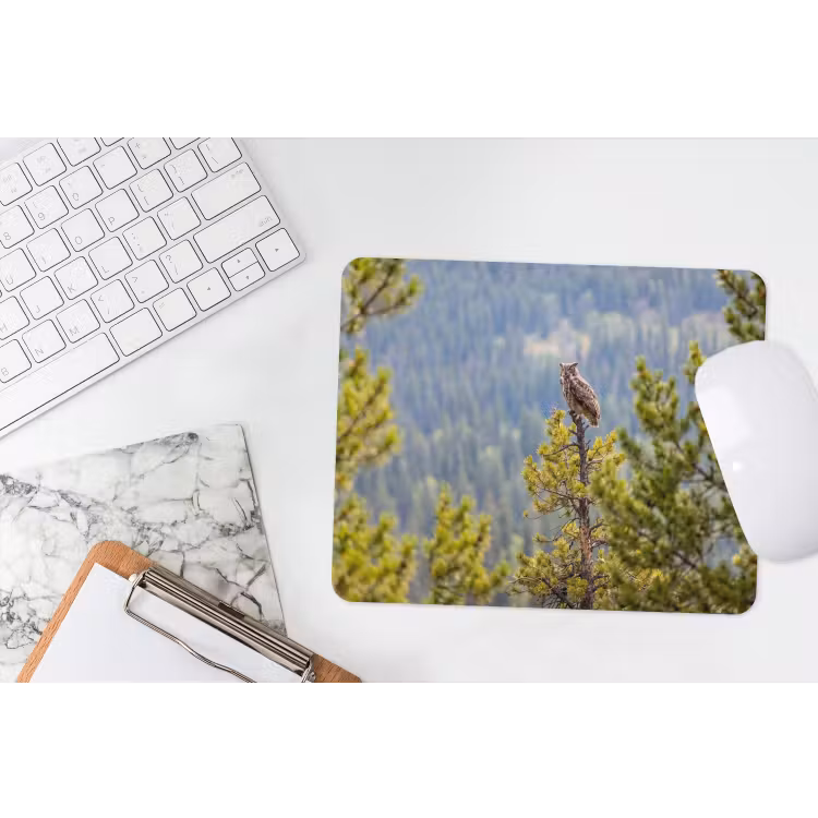 Uil - Oehoe - Bomen - Natuur muismat rubber klein -witbureau