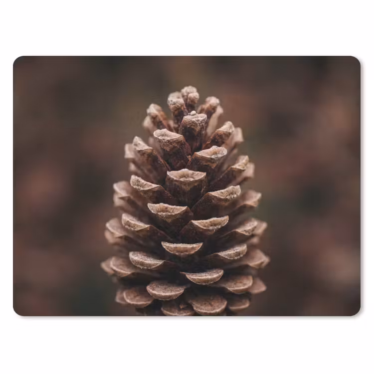 Dennenappel - Bos - Herfst - Bruin - Sfeervol muismat rubber klein -3d