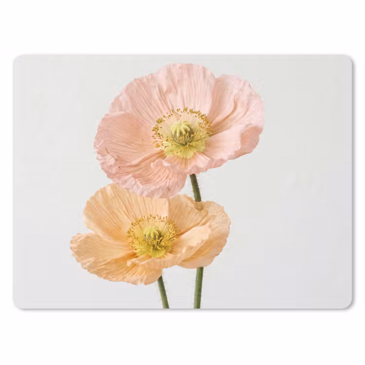 Papavers - Botanisch - Roze muismat rubber klein -3d