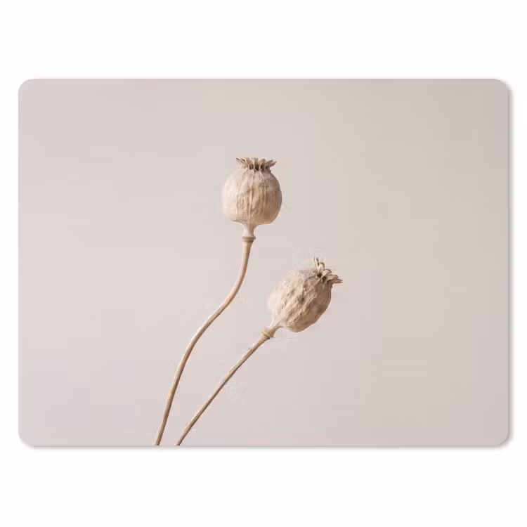 Papaverbollen - Droogbloemen - Minimalistisch - Beige - Rustig muismat rubber klein -3d