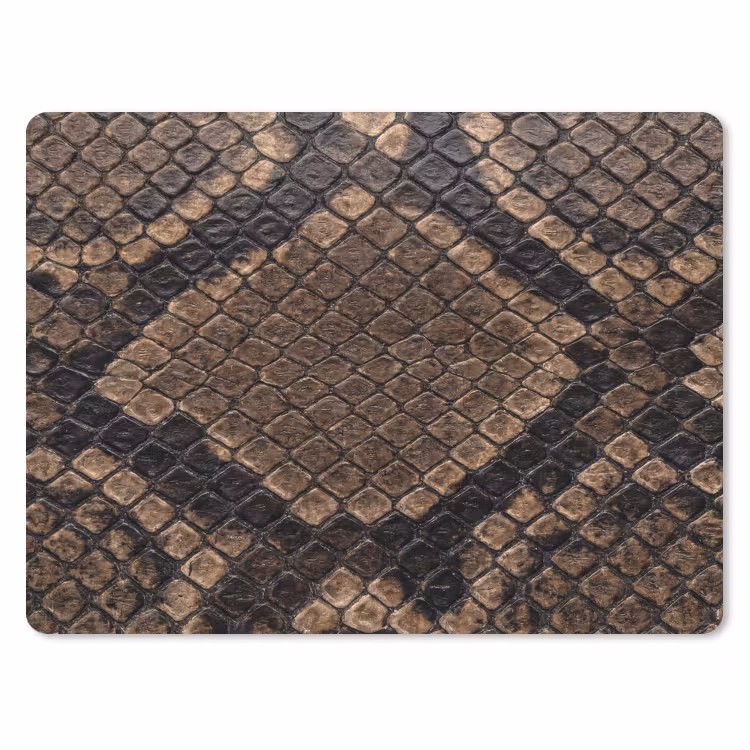 Python - Schubben - Brons muismat rubber klein -3d