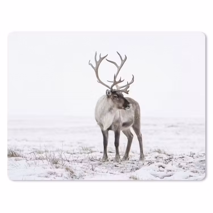 Rendier - Gewei - Sneeuw - Winter muismat rubber klein -3d