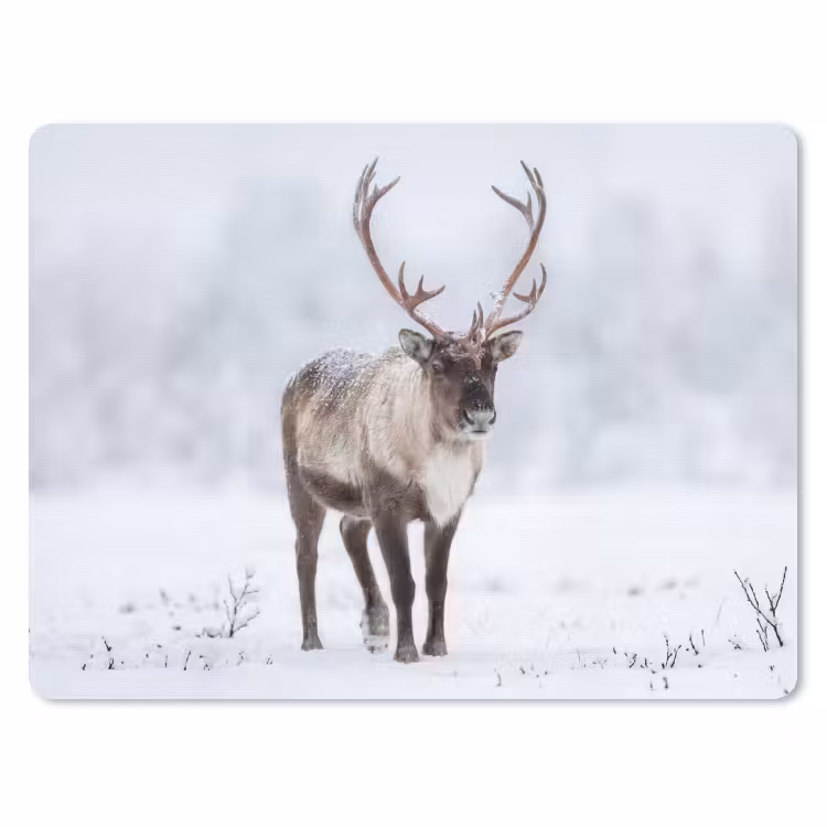 Rendier - Gewei - Toendra - Sneeuw - Wild muismat rubber klein -3d