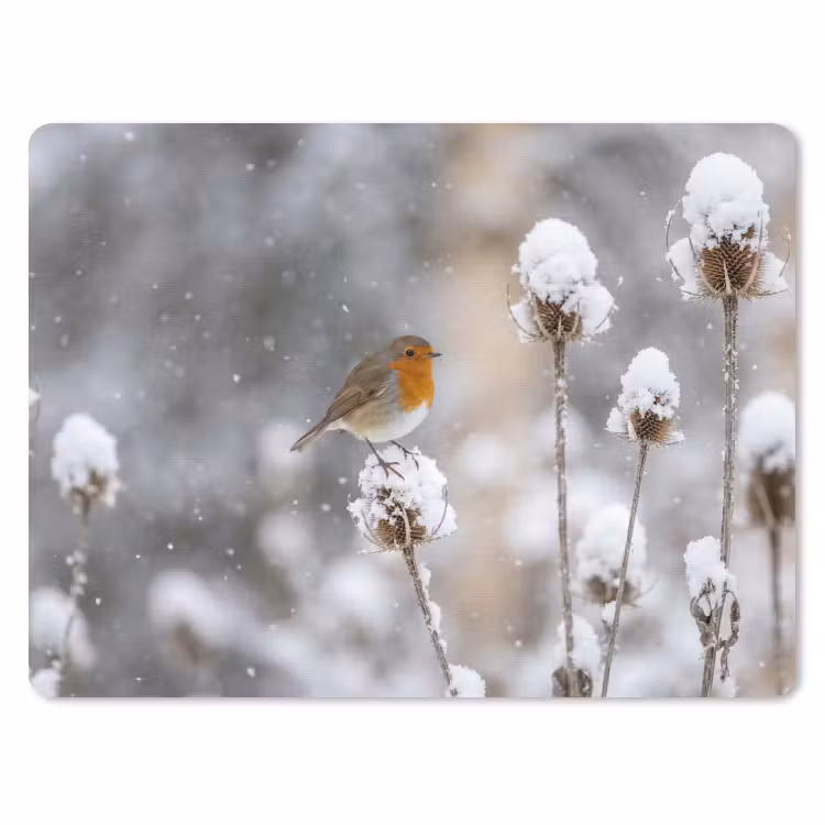 Roodborstje - Gedroogde bloem - Sneeuw - Winter - Vertederend muismat rubber klein -3d