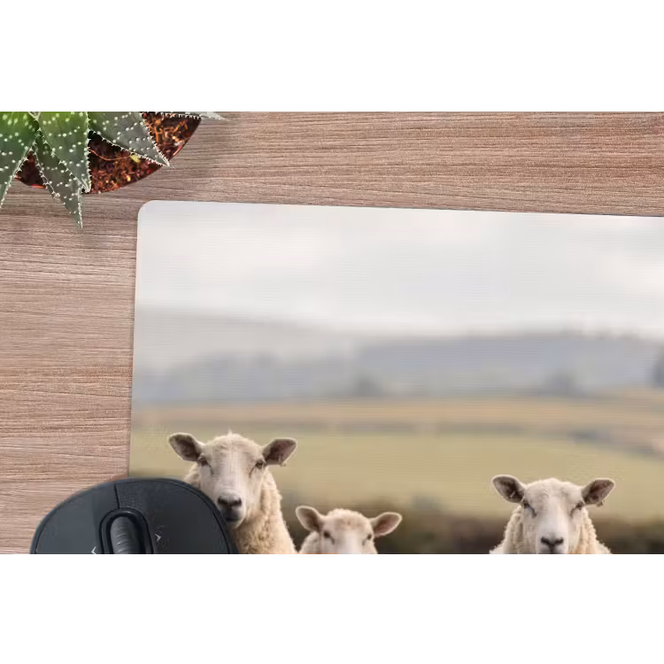 Schapen - Weidenlandschap - Heuvels muismat rubber klein -closeup