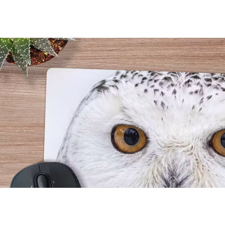 Sneeuwuil - Oog - Wildlife - Wit muismat rubber klein -closeup