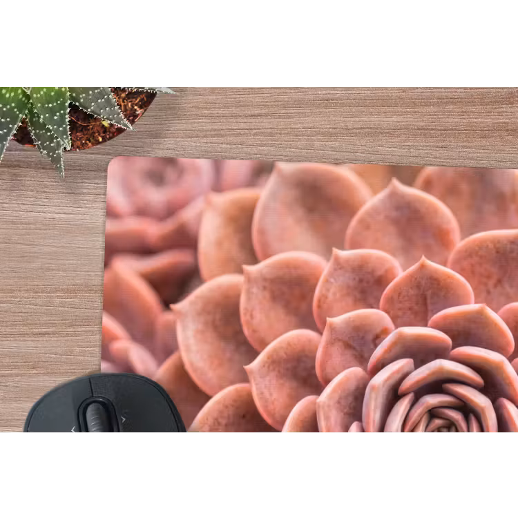 Vetplant - Organisch - Roze muismat rubber klein -closeup
