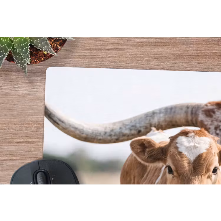 Texas Longhorn - Kalf - Weide - Dieren muismat rubber klein -closeup