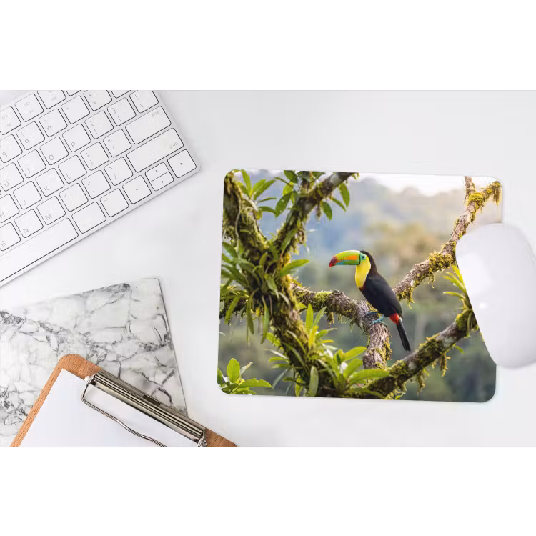 Toekan - Jungle - Natuur - Kleurrijk muismat rubber klein -witbureau