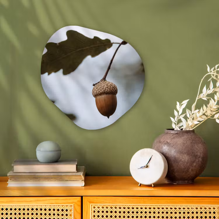 Eikel - Eikenblad - Bos - Herfst - Natuur Wandcirkel Organisch Forex 3mm klein -sfeer2