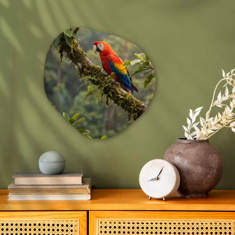 Ara - Jungle - Rood Wandcirkel Organisch Forex 3mm klein -sfeer2