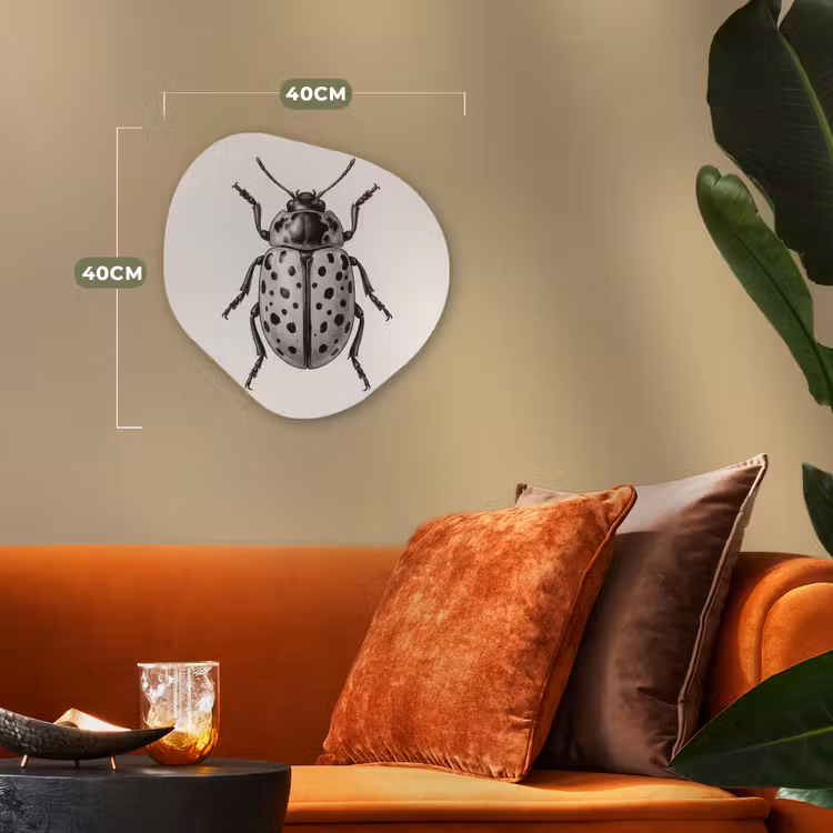Kever - Insect - Vintage Wandcirkel Organisch Forex 3mm klein -sfeer3