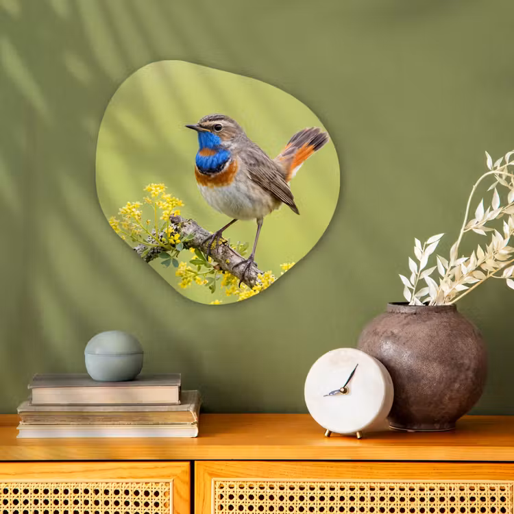 Vogel - Tak - Natuur - Kleurrijk Wandcirkel Organisch Forex 3mm klein -sfeer2