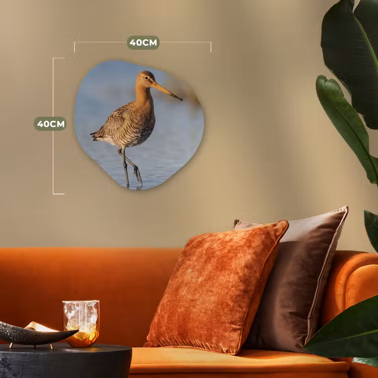 Vogel - Steltloper - Water - Natuur Wandcirkel Organisch Forex 3mm klein -sfeer3