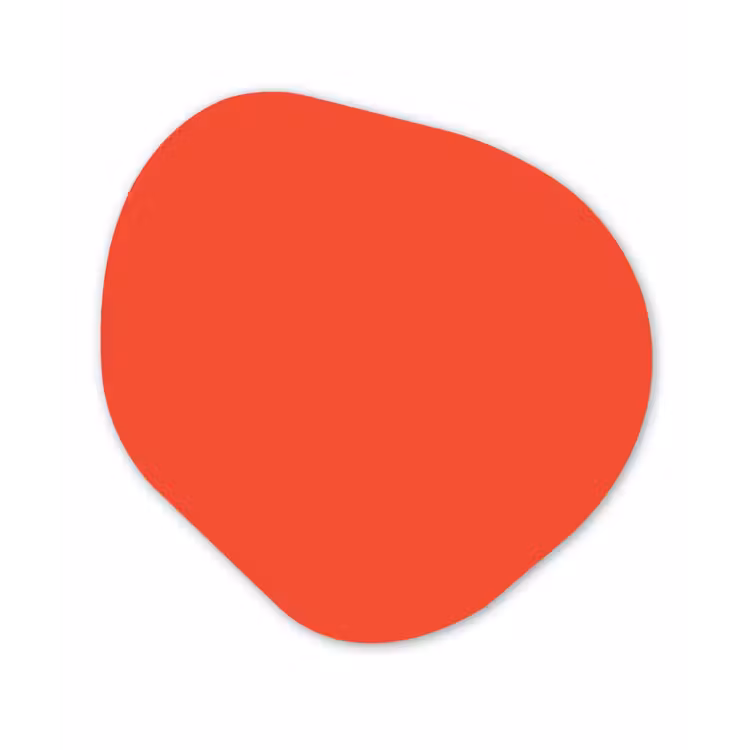 Burnt - Coral - Oranje Wandcirkel Organisch Forex 3mm klein 629 -3d