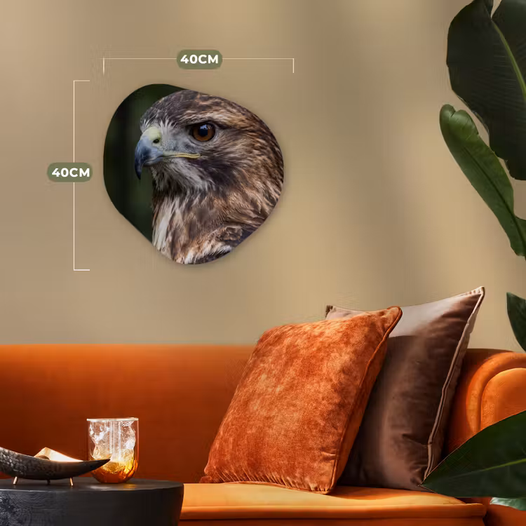 Buizerd - Roofvogel - Natuur - Bruin Wandcirkel Organisch Forex 3mm klein -sfeer3