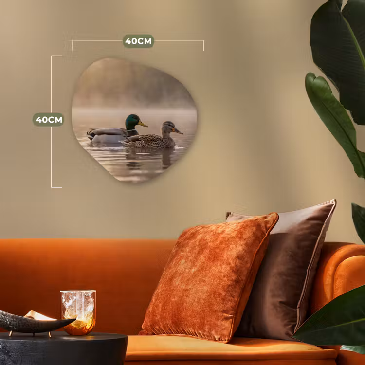 Eenden - Water - Mist - Natuur Wandcirkel Organisch Forex 3mm klein -sfeer3