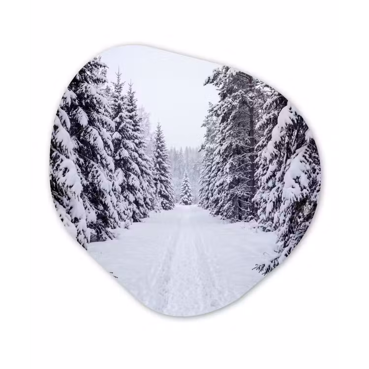 Bos - Winter - Sneeuw - Pad - Natuur Wandcirkel Organisch Forex 3mm klein -3d