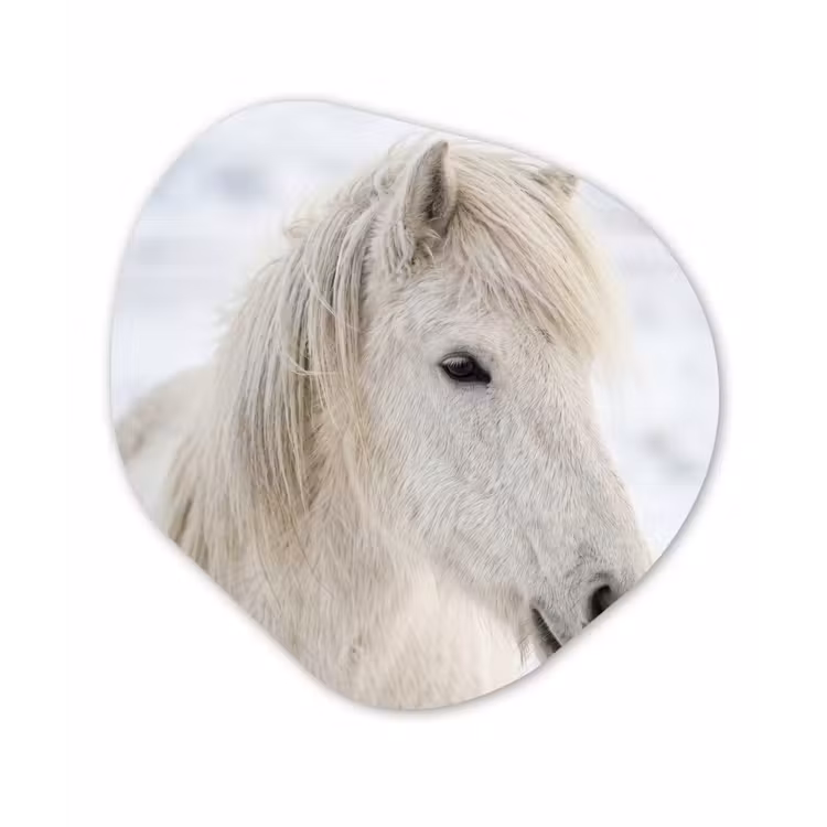 Paard - Kop - Winter - Dieren - Wit Wandcirkel Organisch Forex 3mm klein -3d