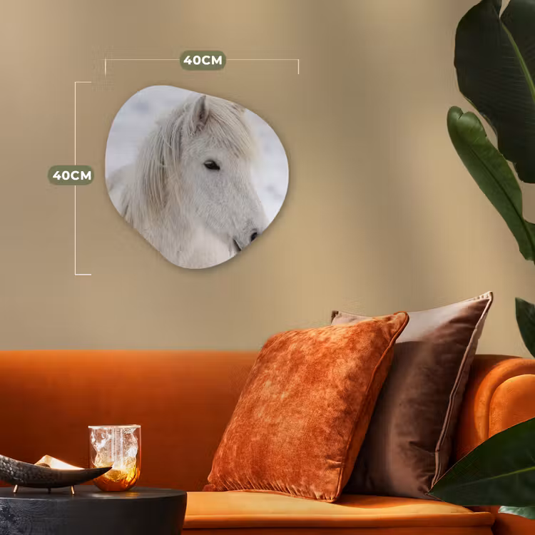 Paard - Kop - Winter - Dieren - Wit Wandcirkel Organisch Forex 3mm klein -sfeer3