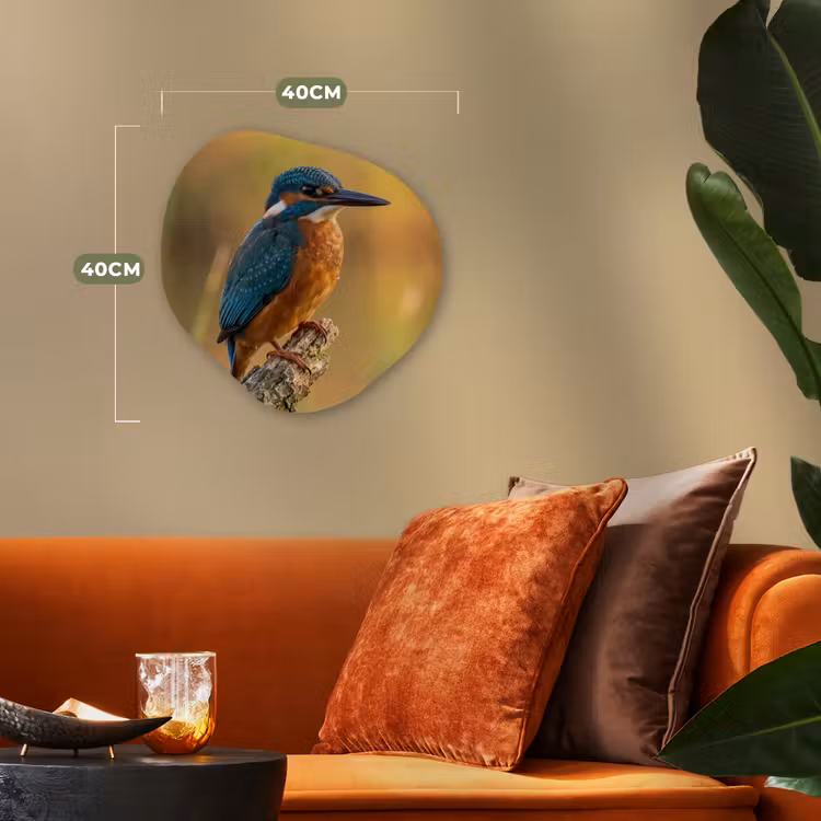 IJsvogel - Tak - Water - Kleurrijk - Levendig Wandcirkel Organisch Forex 3mm klein -sfeer3