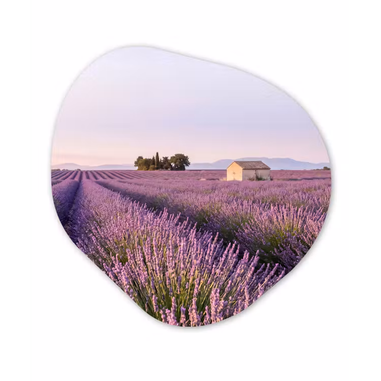 Lavendel - Landschap - Sereen - Paars Wandcirkel Organisch Forex 3mm klein -3d