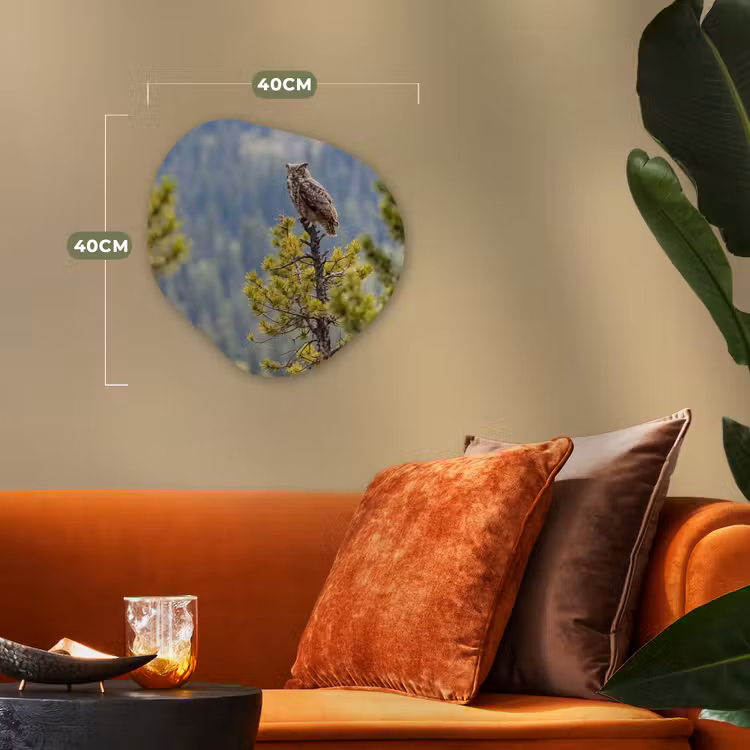 Uil - Oehoe - Bomen - Natuur Wandcirkel Organisch Forex 3mm klein -sfeer3