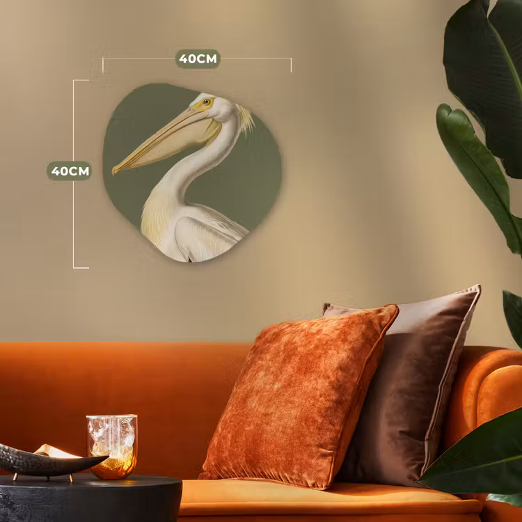 Pelikaan - Wit - Vogel - Klassiek - Natuur Wandcirkel Organisch Forex 3mm klein -sfeer3
