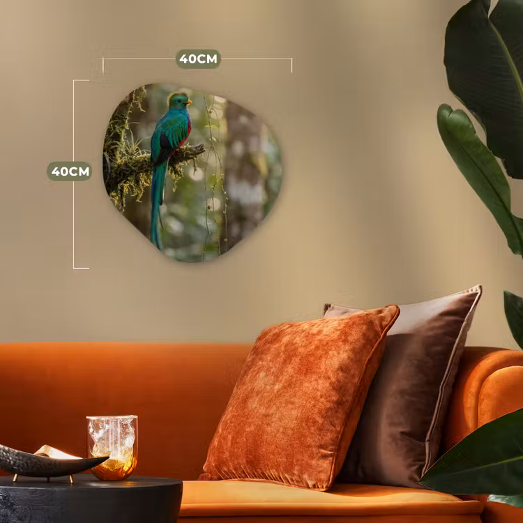 Quetzal - Jungle - Natuur - Groen Wandcirkel Organisch Forex 3mm klein -sfeer3