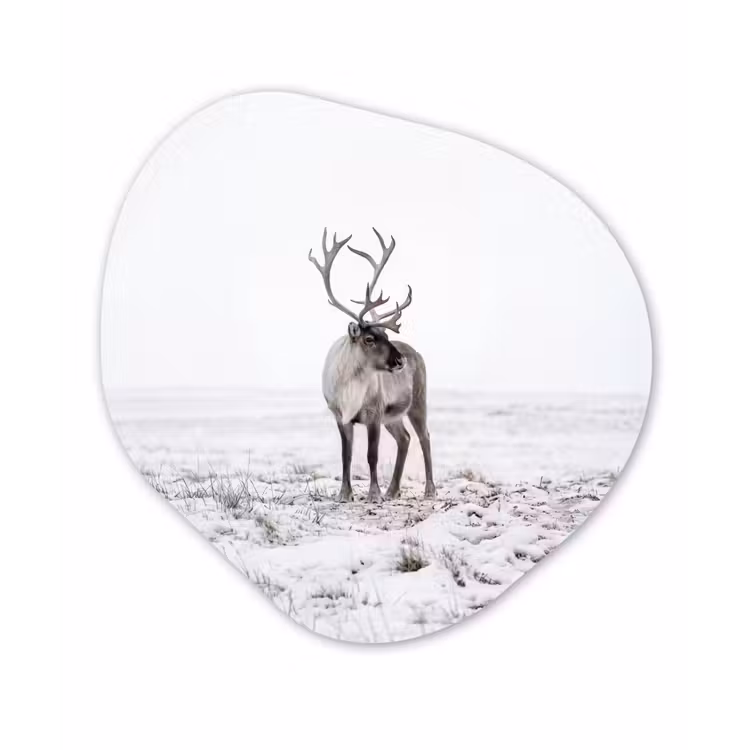 Rendier - Gewei - Sneeuw - Winter Wandcirkel Organisch Forex 3mm klein -3d