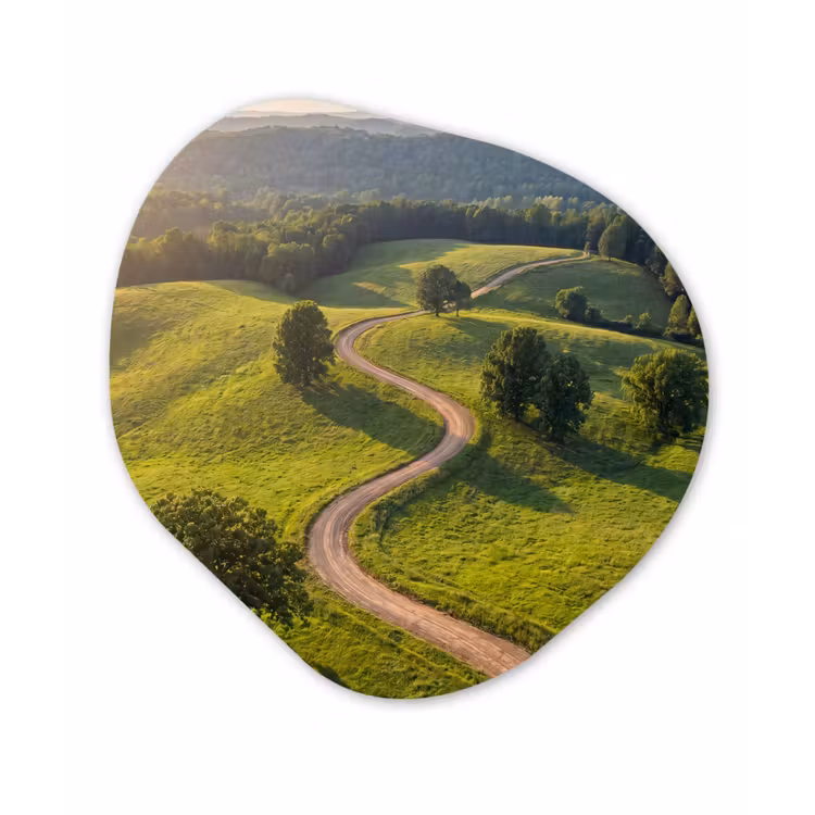 Weg - Weide - Natuur - Groen Wandcirkel Organisch Forex 3mm klein -3d