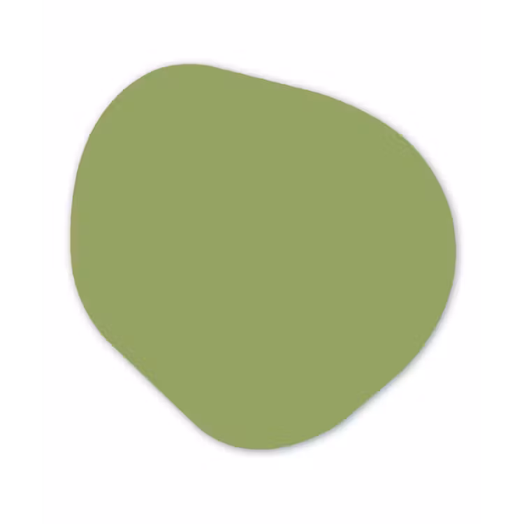 Sage - Green - Groen Wandcirkel Organisch Forex 3mm klein 629 -3d