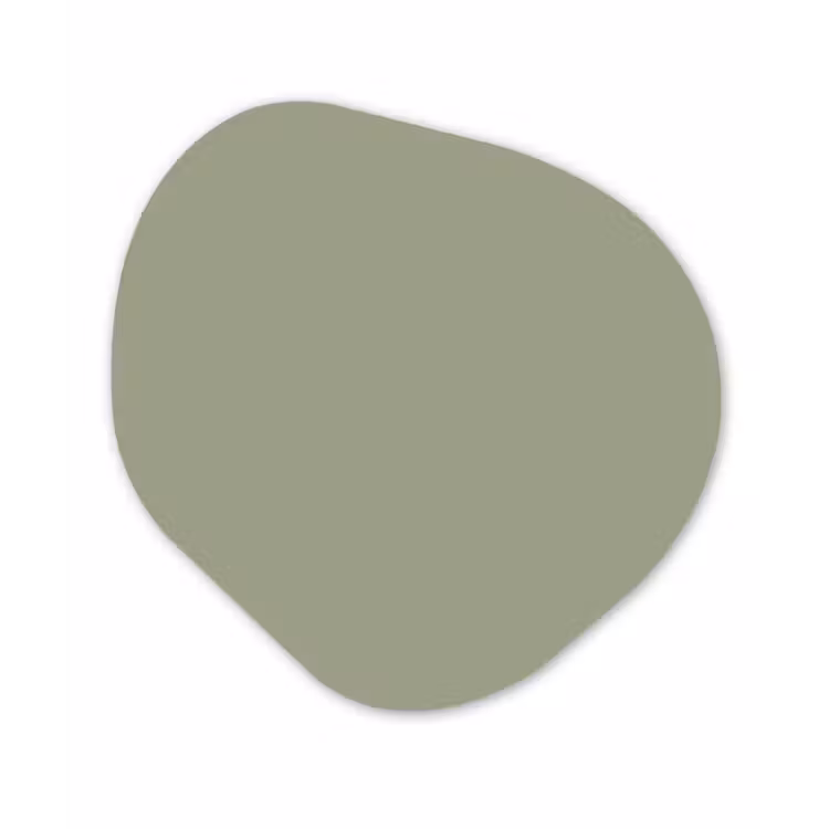Sage - Mist - Groen Wandcirkel Organisch Forex 3mm klein 629 -3d