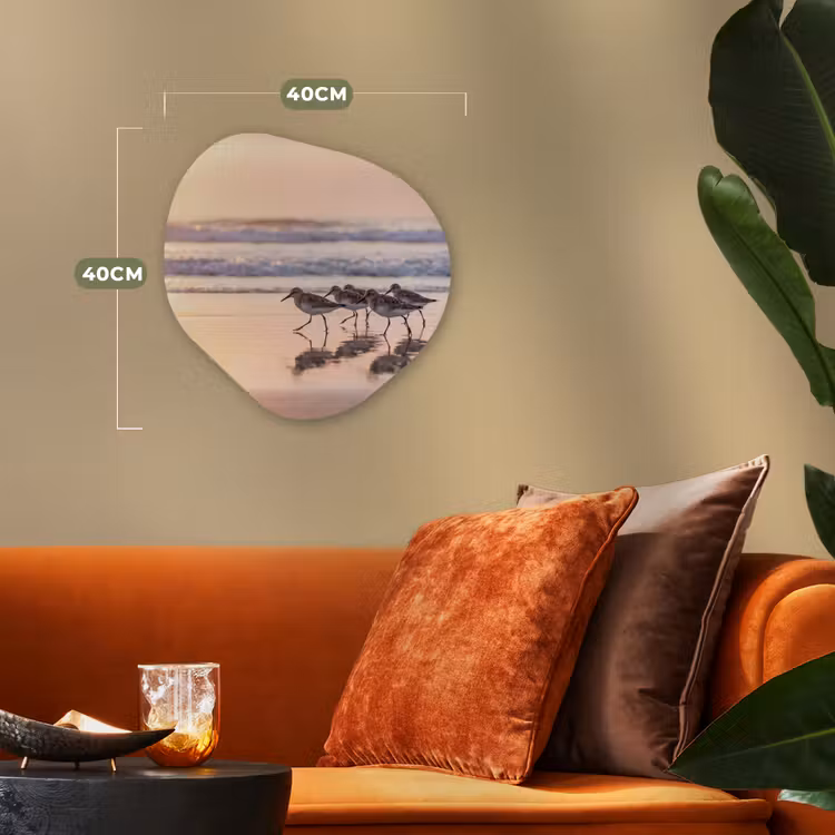 Zee - Vogels - Strand Wandcirkel Organisch Forex 3mm klein -sfeer3
