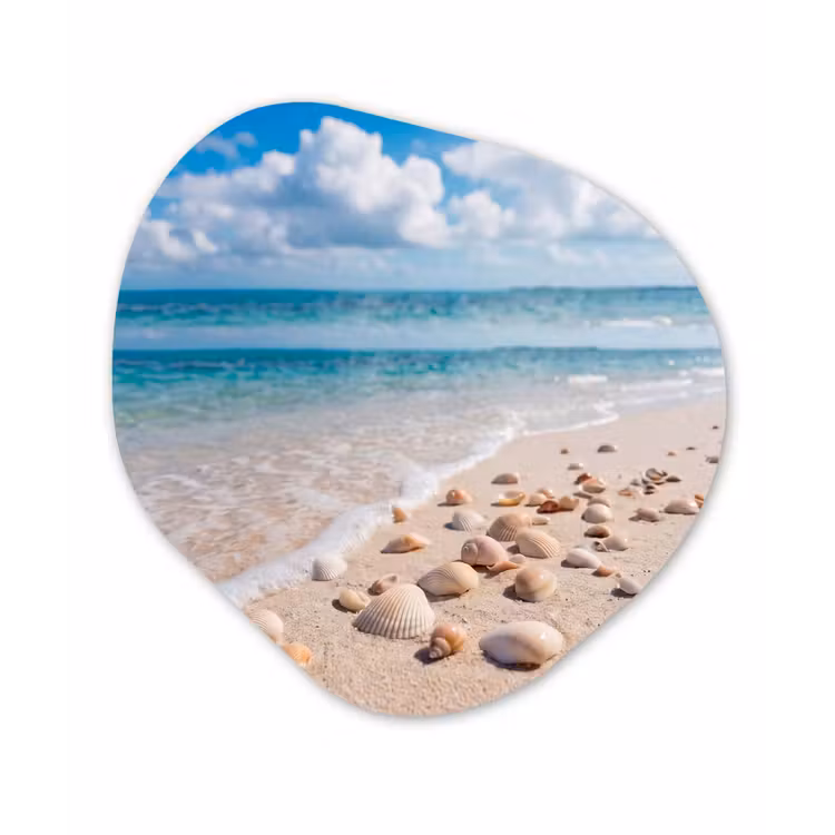 Schelpen - Strand - Natuur - Beige Wandcirkel Organisch Forex 3mm klein -3d