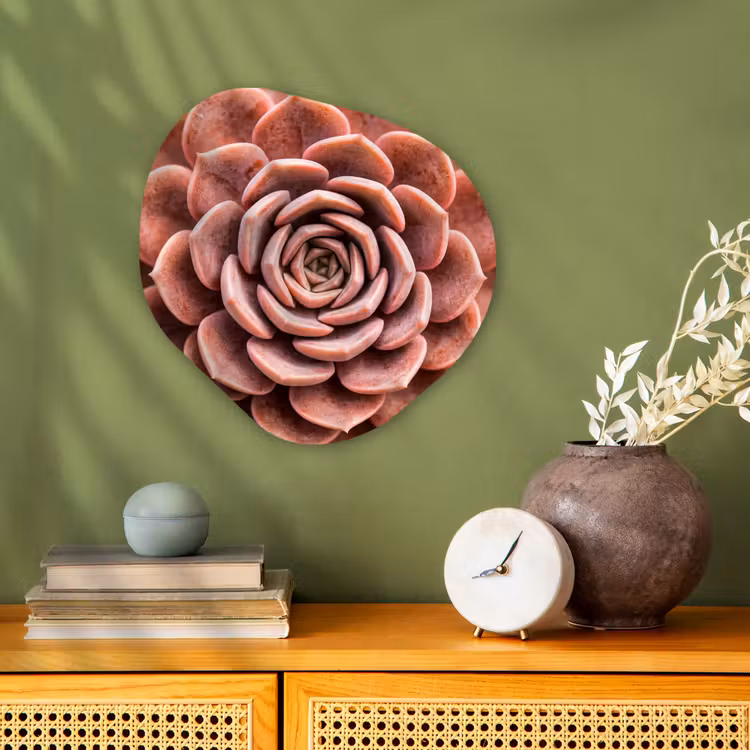 Vetplant - Organisch - Roze Wandcirkel Organisch Forex 3mm klein -sfeer2