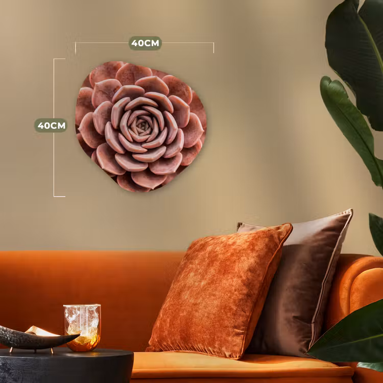 Vetplant - Organisch - Roze Wandcirkel Organisch Forex 3mm klein -sfeer3