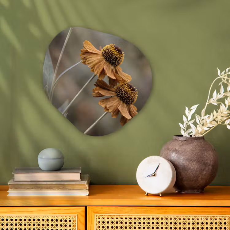 Zonnehoed - Droogbloemen - Geel - Warm Wandcirkel Organisch Forex 3mm klein -sfeer2