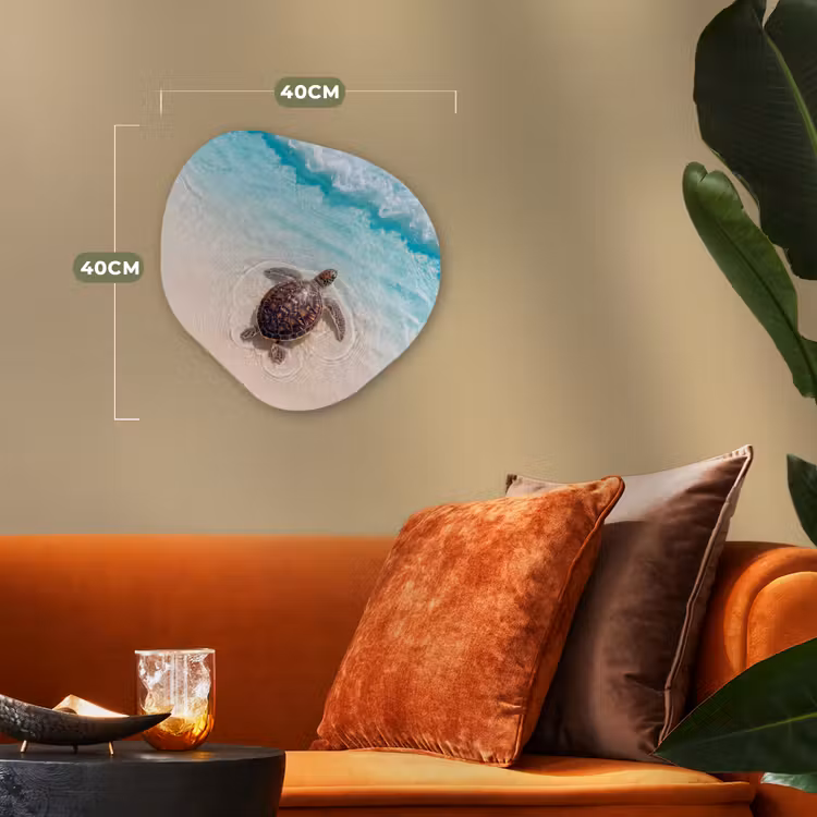 Schildpad - Helder water - Strand - Dieren - Natuur Wandcirkel Organisch Forex 3mm klein -sfeer3